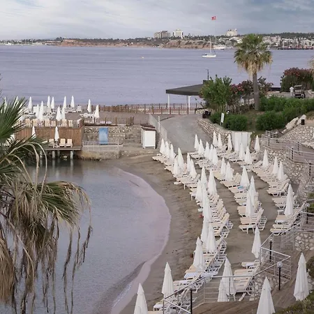 Anadolu Club דידים