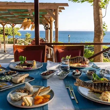 Anadolu Club ディディム