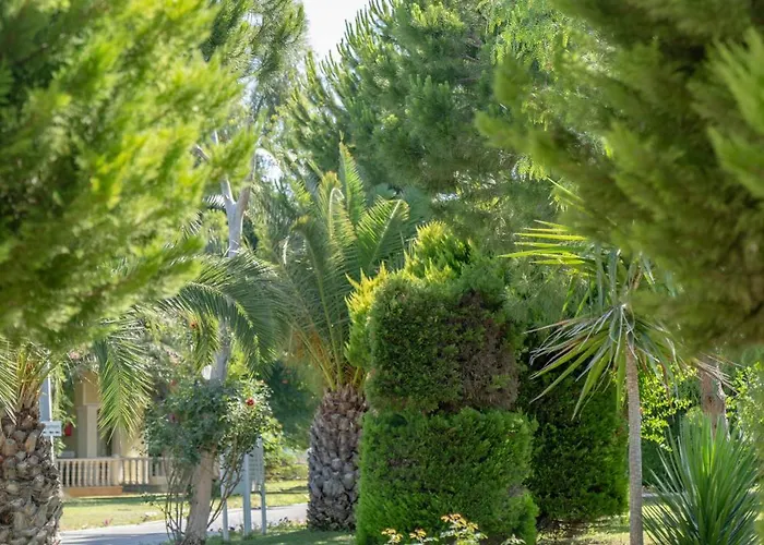 Anadolu Club