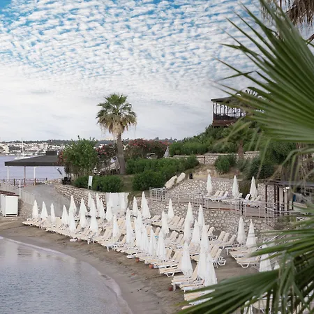 Anadolu Club Hotel Didim