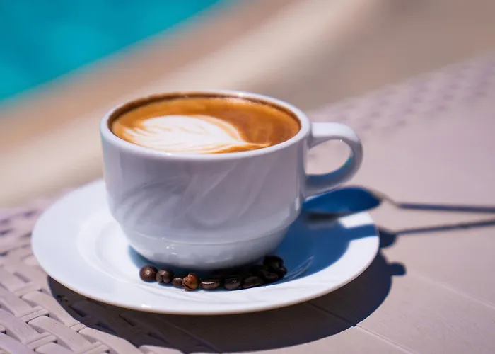 Anadolu Club Hotel Didim