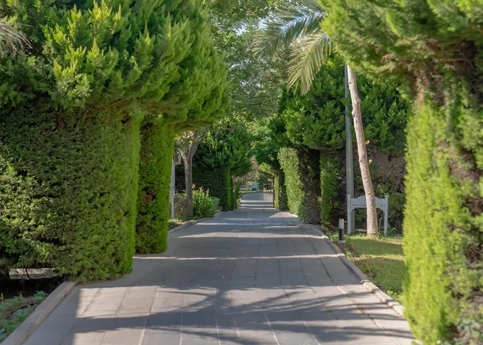 Anadolu Club ホテル